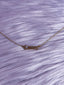 Zodiac Ketting