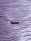 Zodiac Ketting